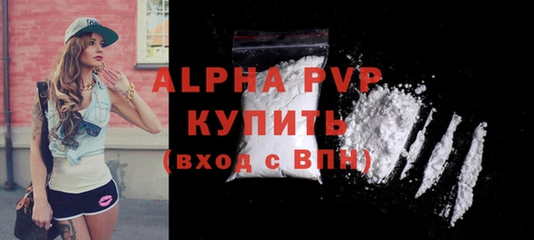 шишки Белокуриха