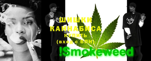 шишки Белокуриха