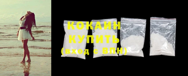 шишки Белокуриха