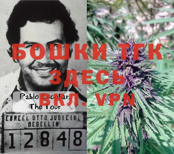PSILOCYBIN Богородск