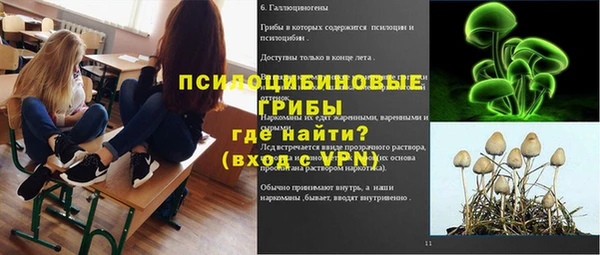 PSILOCYBIN Богородск