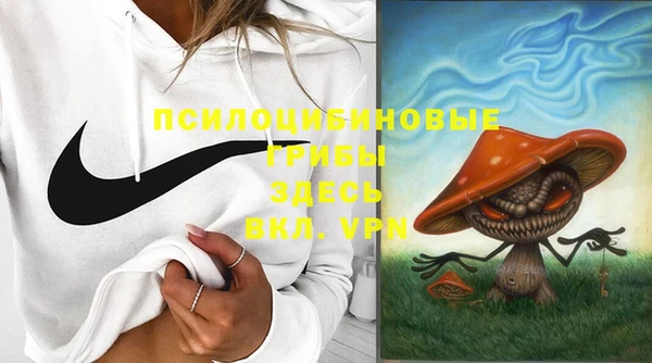 spice Беломорск