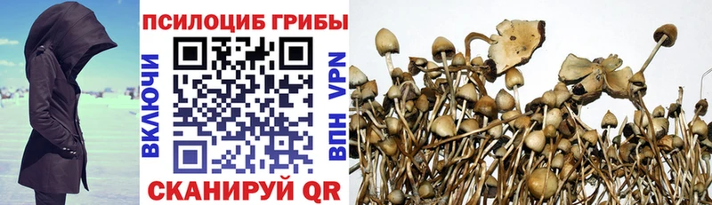 даркнет сайт  Кизел  Псилоцибиновые грибы Cubensis 